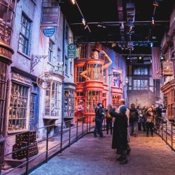 HARRY POTTER EXPERIENCE